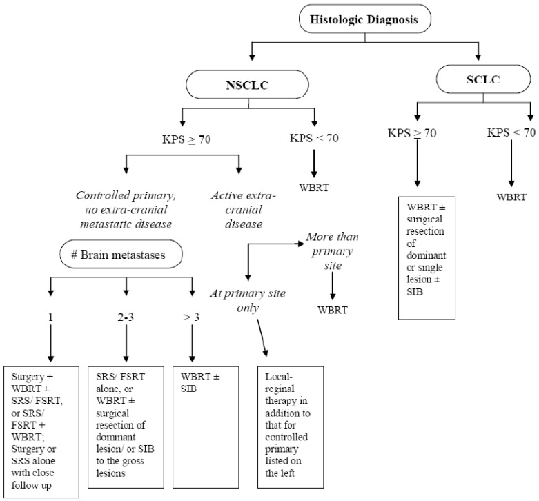 cancers-02-02100-g001.jpg