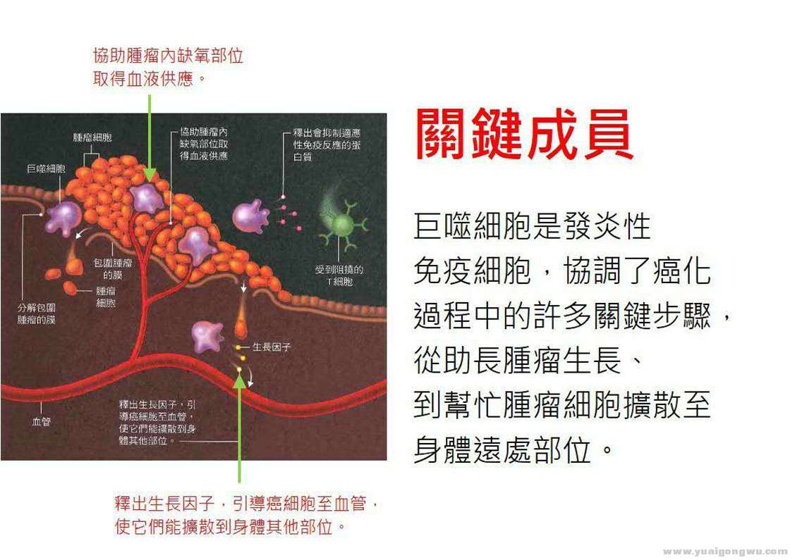 图片13.jpg