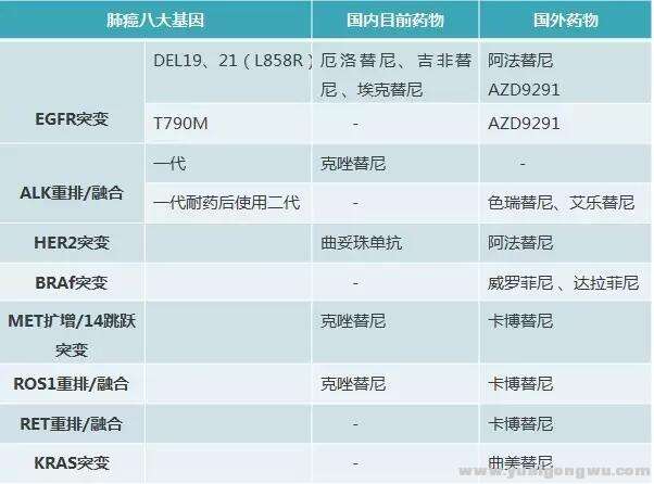 图一：肺癌八大基因靶点和药物