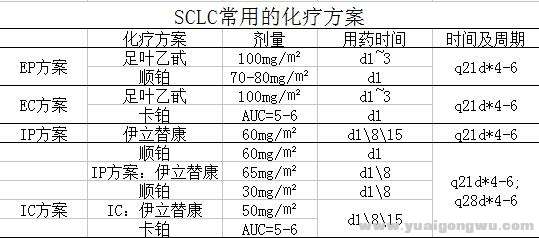 图一：小细胞肺癌放化疗方案