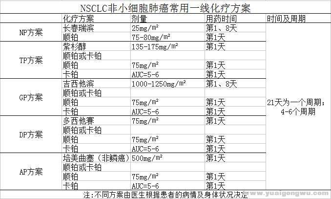 图二：非小细胞肺癌的放化疗方案