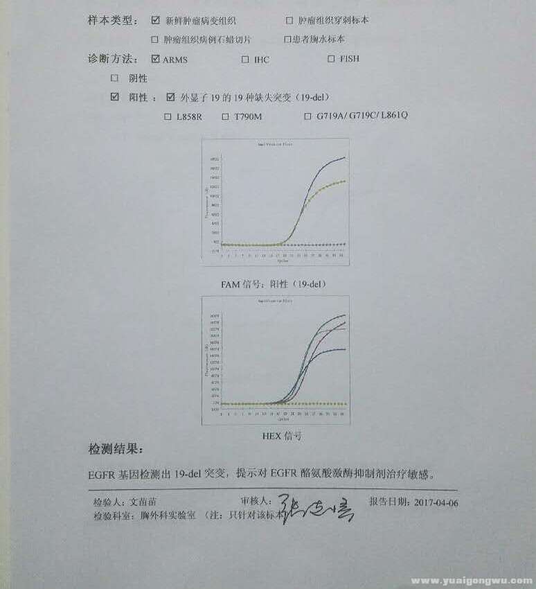 基因突变检查