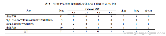 少见类型肾细胞癌的临床特征及预后1.png