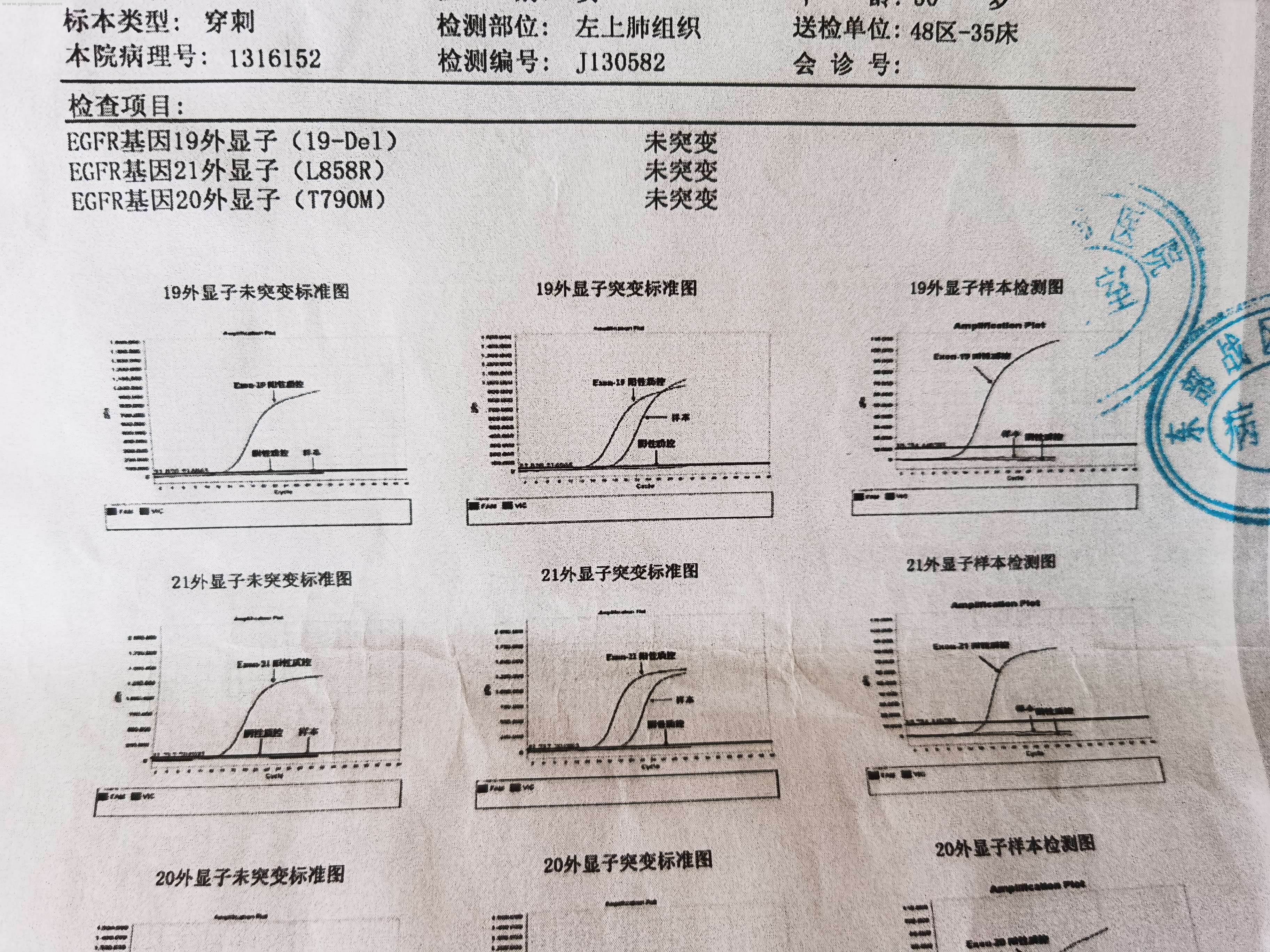 2013年基因检测2