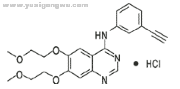 厄洛替尼.png